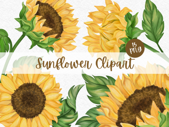 Download Sunflower Watercolor Digital Clipart - Digital clipart Collection